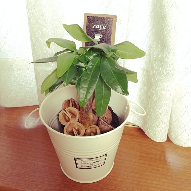 tiaraさんの実例写真