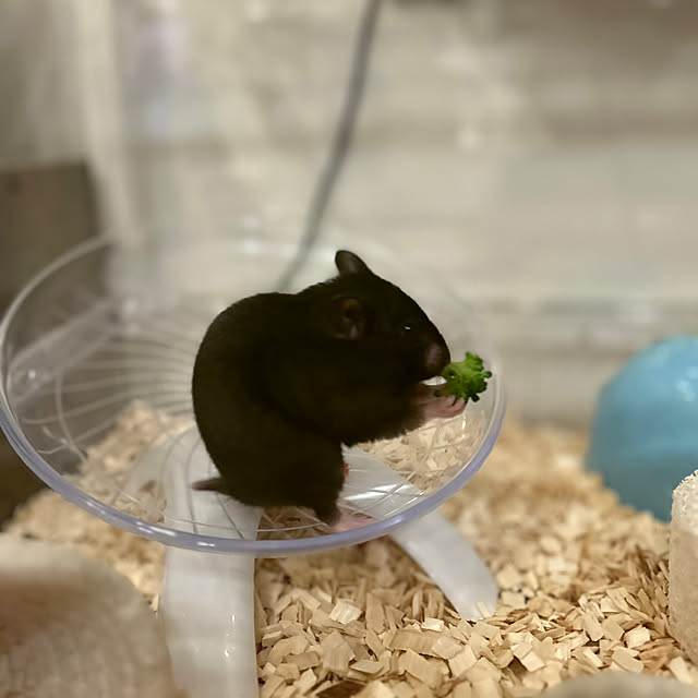 Y.JMR2さんの部屋