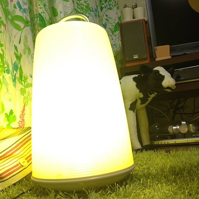 Midoroさんの実例写真