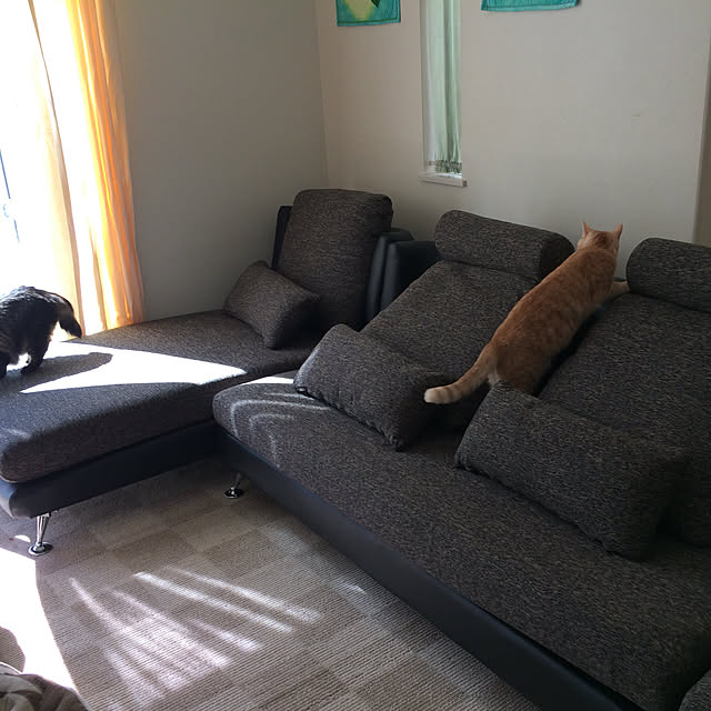tenさんの実例写真