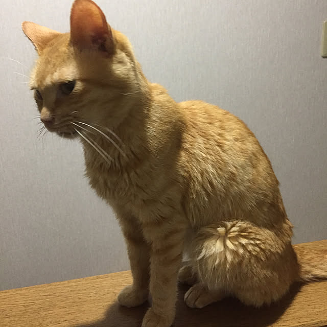 nakamuさんの実例写真