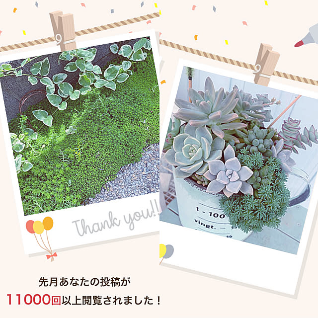 maymamさんの実例写真