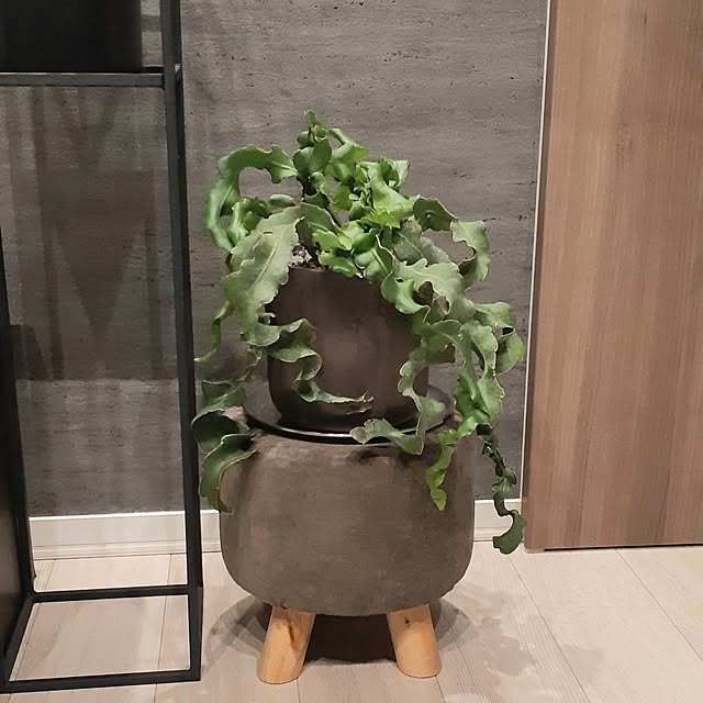 mi-さんの実例写真