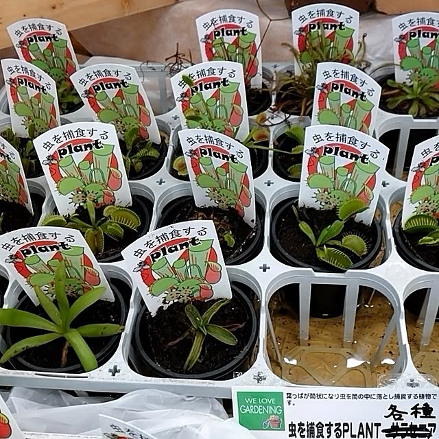 fukuさんの部屋