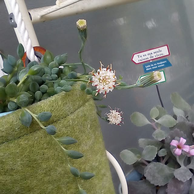 mariagardenさんの実例写真