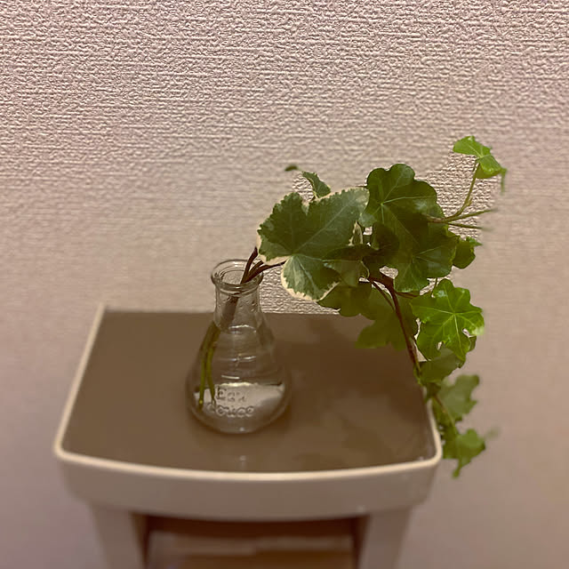 tomomi.09.03さんの実例写真