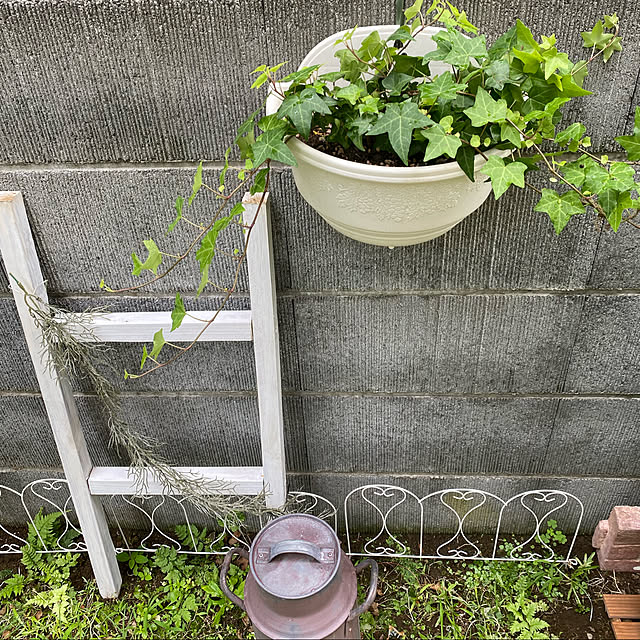 YuuKoさんの実例写真