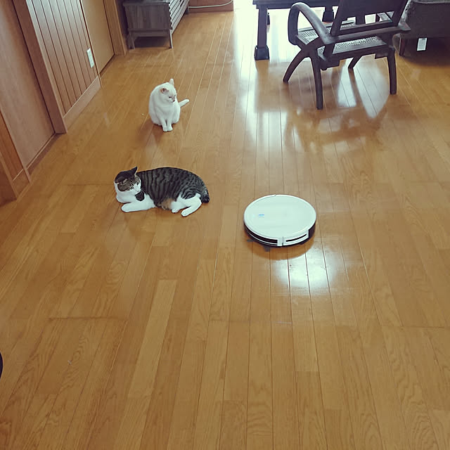 nachiさんの実例写真