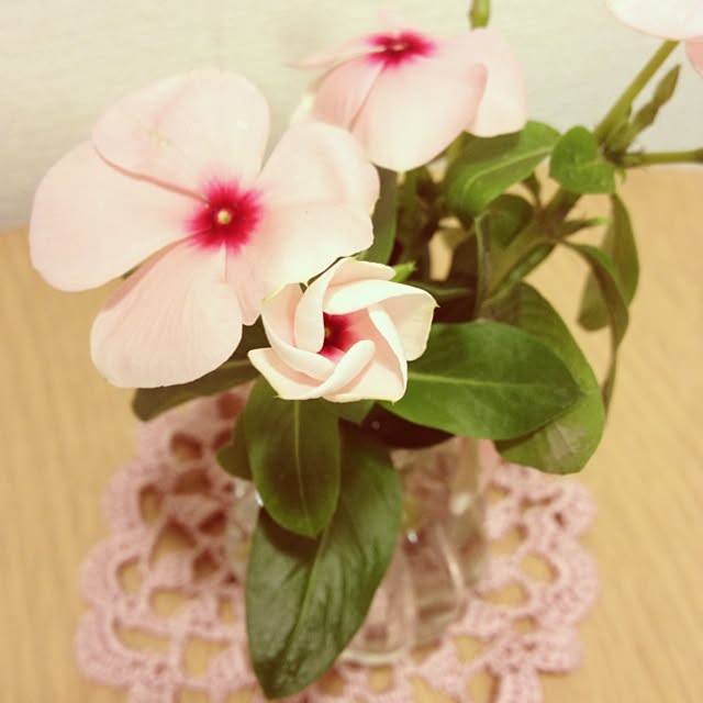 nanamomoさんの実例写真