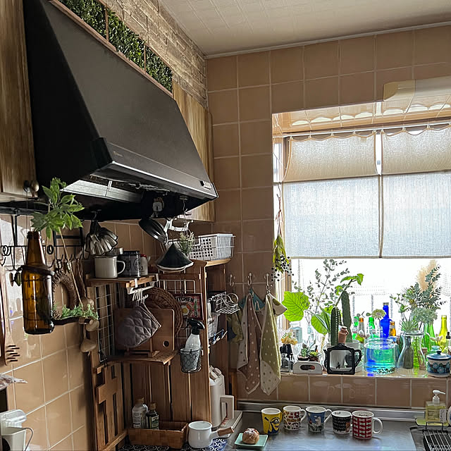 mohhaさんの実例写真