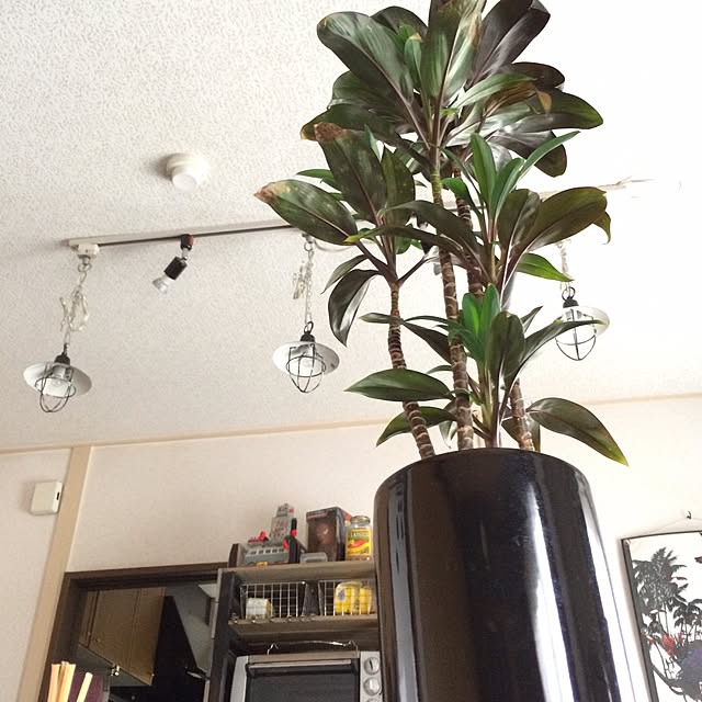 kazooさんの実例写真