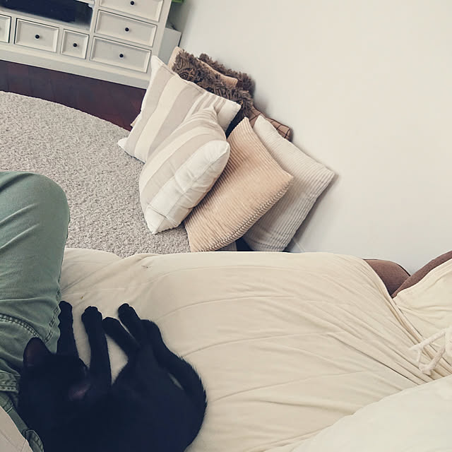 piさんの実例写真