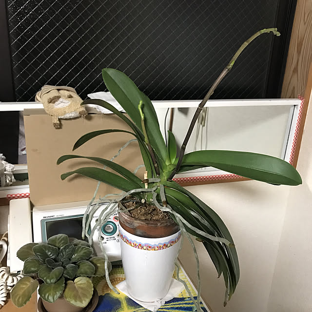 manarikoさんの実例写真
