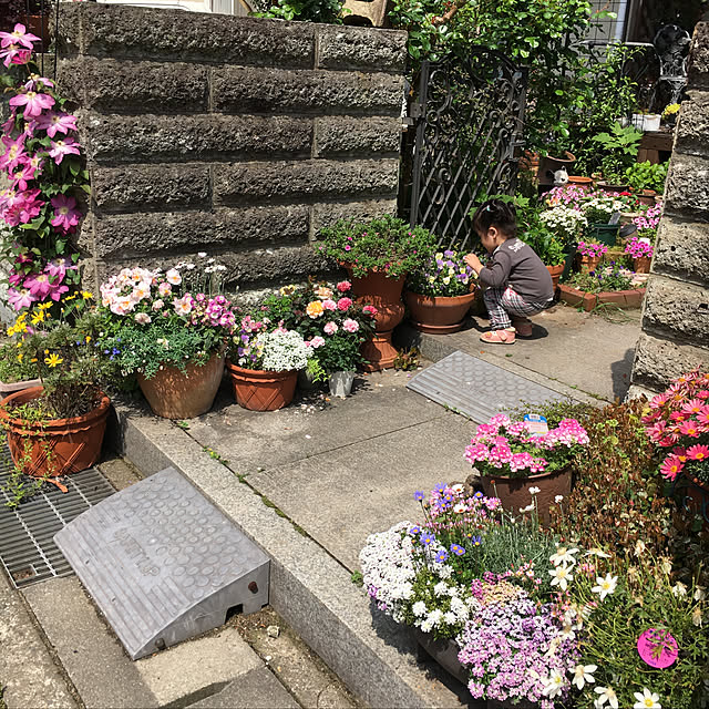 konokonoさんの実例写真