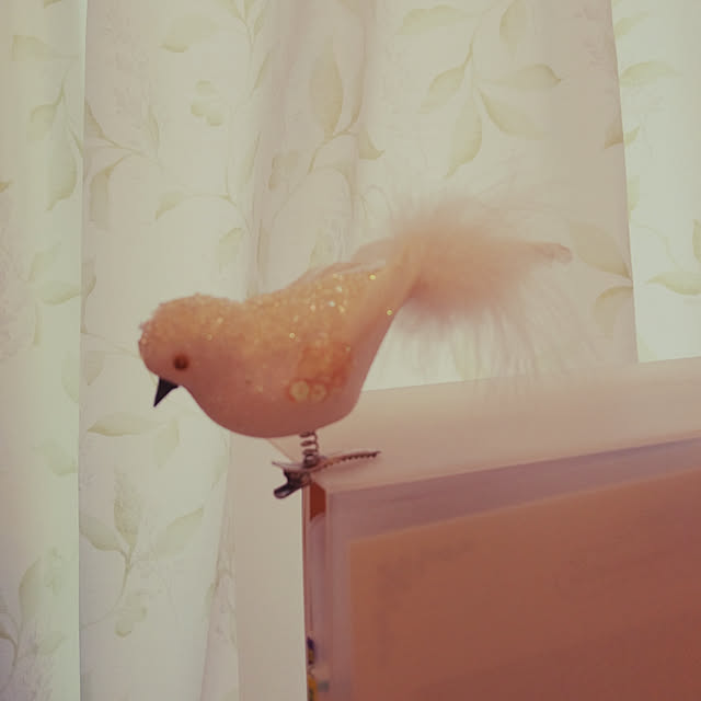Miyukiさんの実例写真
