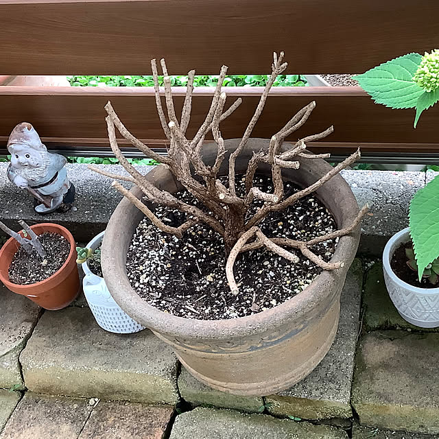 haruminさんの部屋