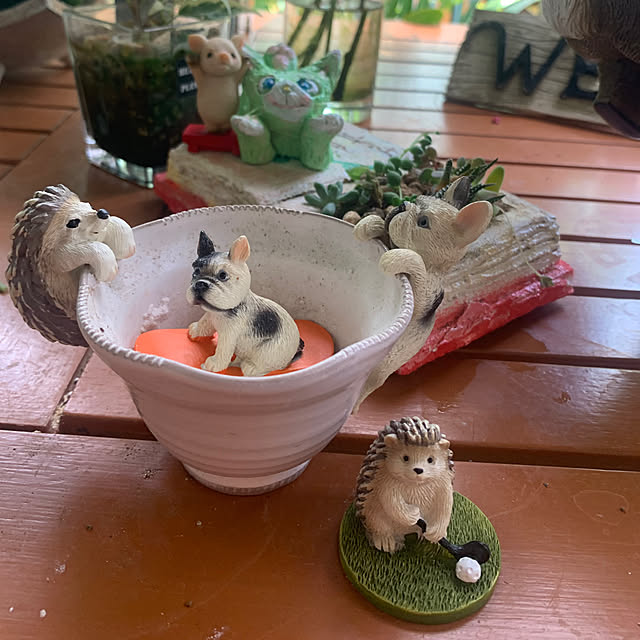 Aqettyさんの部屋