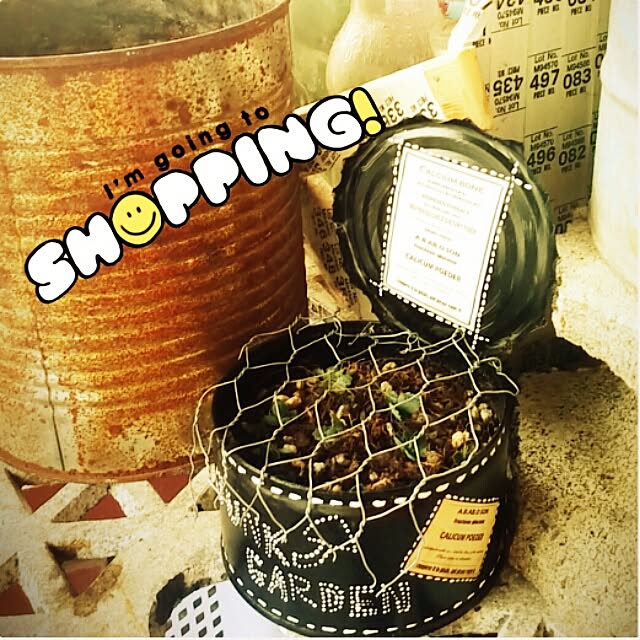 springkeyさんの実例写真