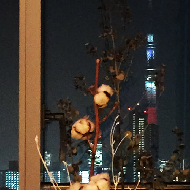 HKSさんの実例写真