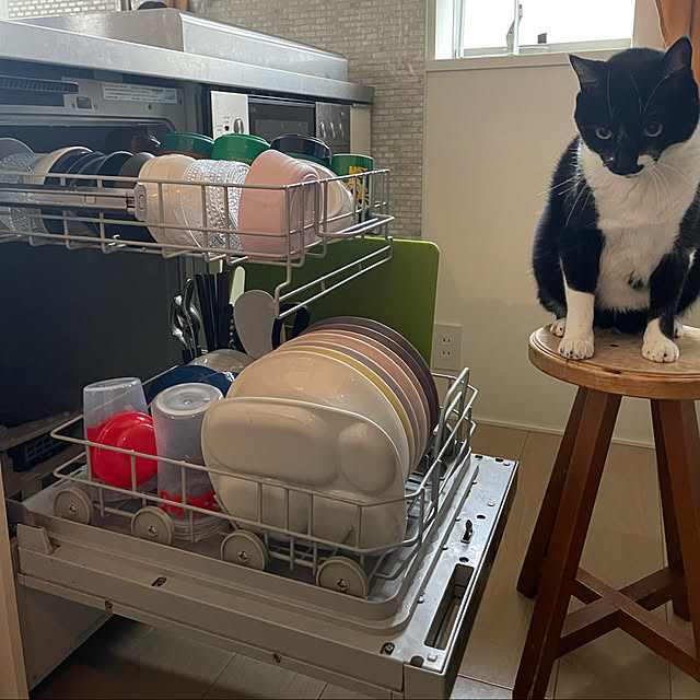 nyaromeさんの実例写真