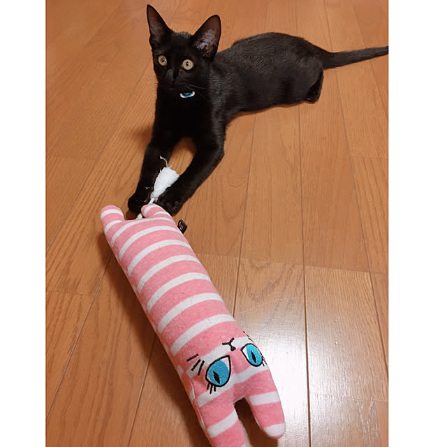 mame-minさんの実例写真