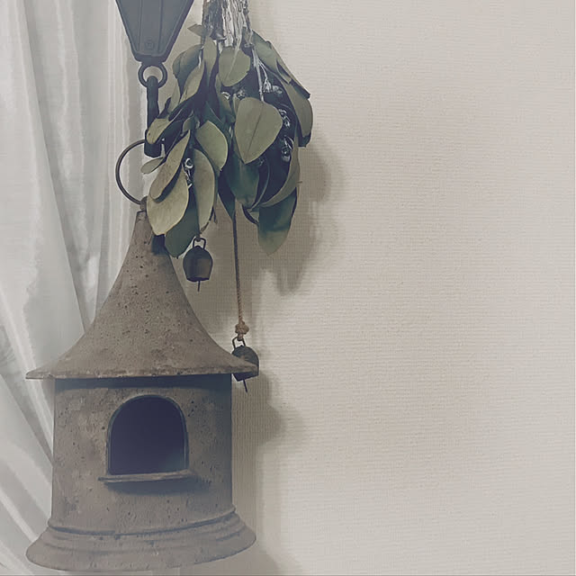 soraさんの実例写真