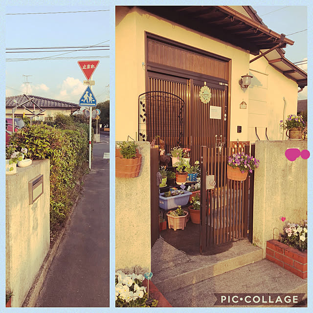lilyさんの実例写真