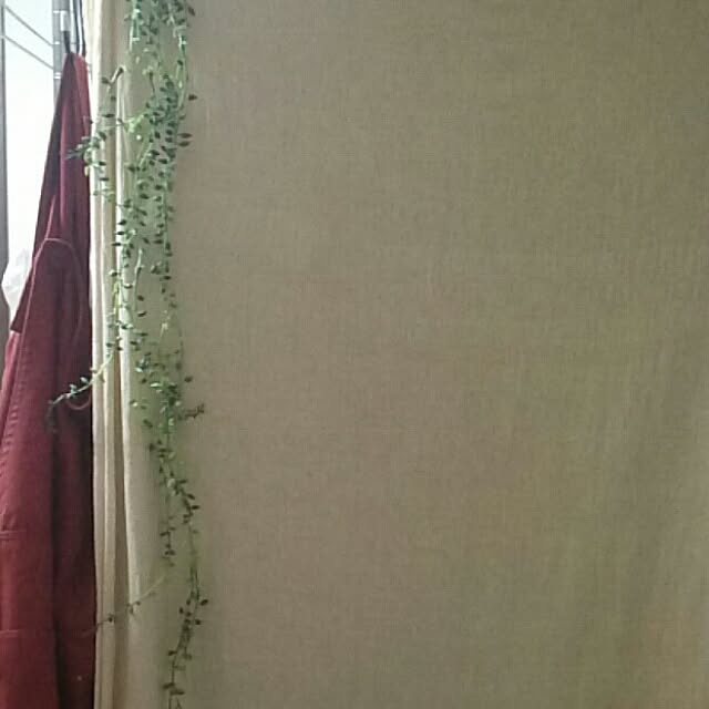 junさんの実例写真