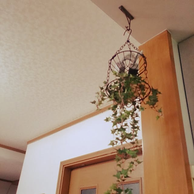 chi-akiさんの実例写真