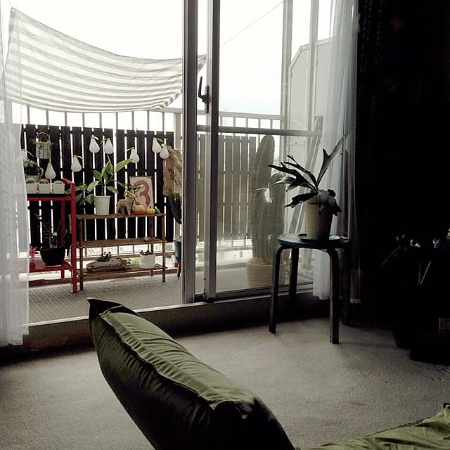 komachangさんの実例写真