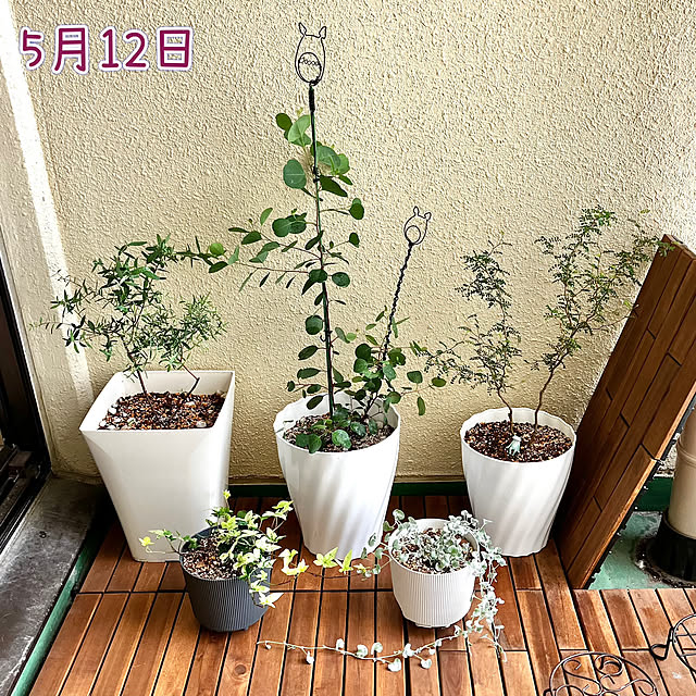 kagomamaさんの部屋