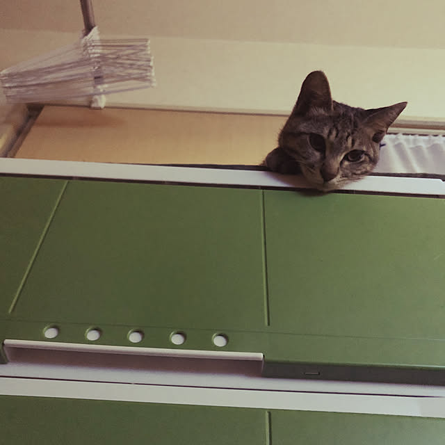 emiさんの実例写真