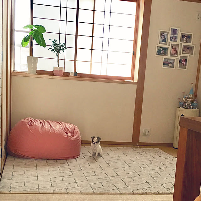 haritakaさんの実例写真