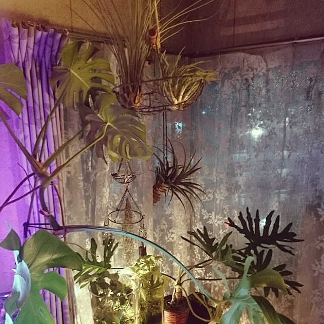 Reiさんの実例写真