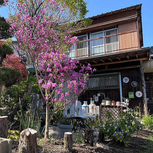 shin0719さんの実例写真