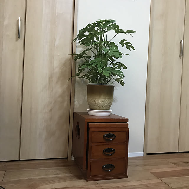yujioさんの実例写真