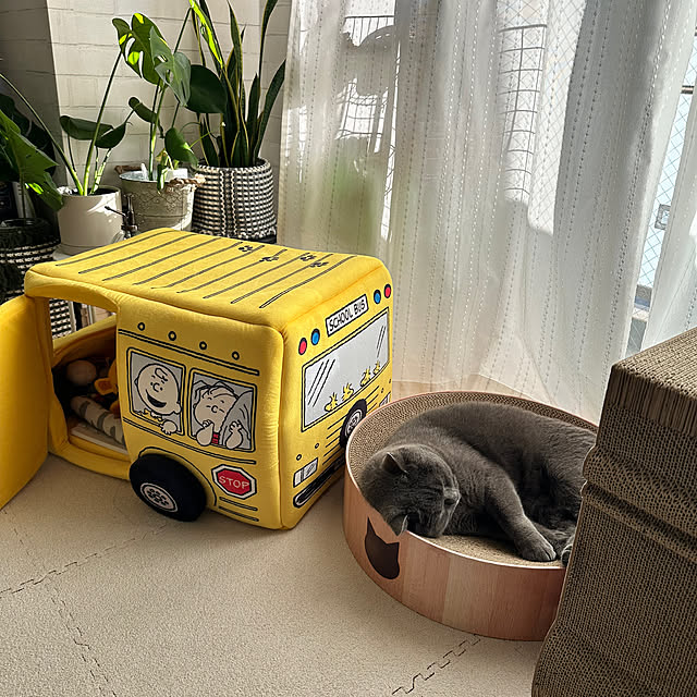 kittyさんの部屋