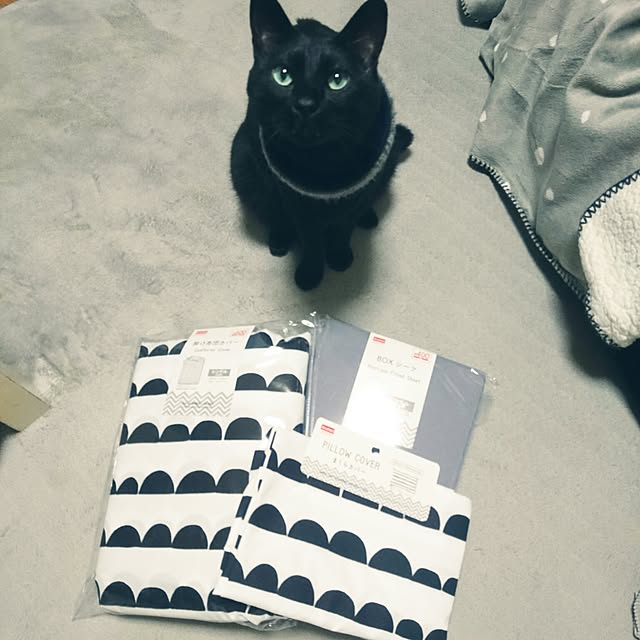 mayu.ariさんの実例写真