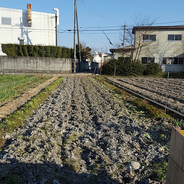 no-minさんの実例写真
