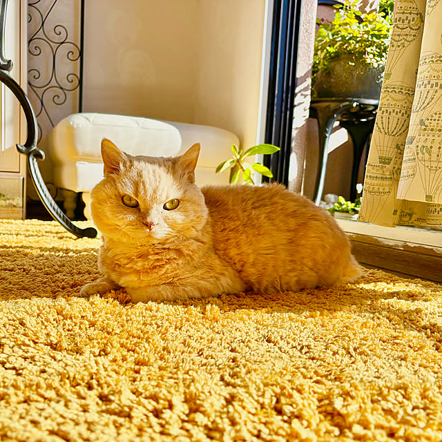 naokoさんの部屋