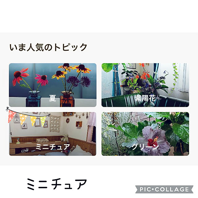 CoCo0617さんの実例写真