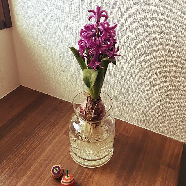 Yukariさんの実例写真