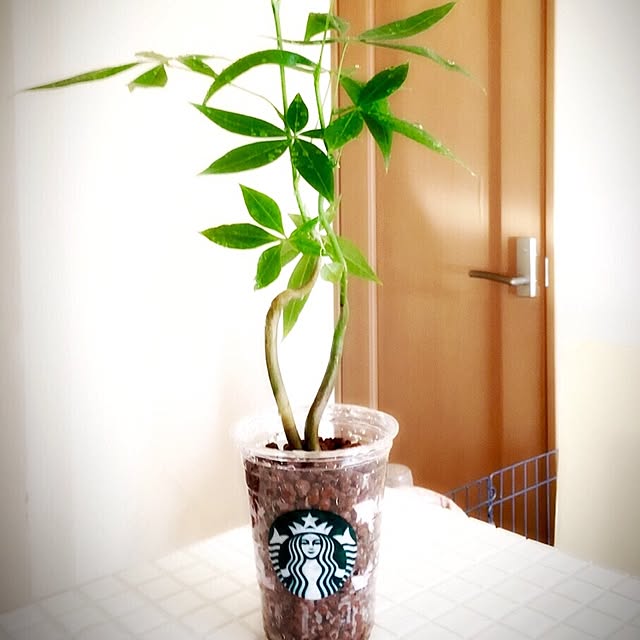 Hidekiさんの実例写真