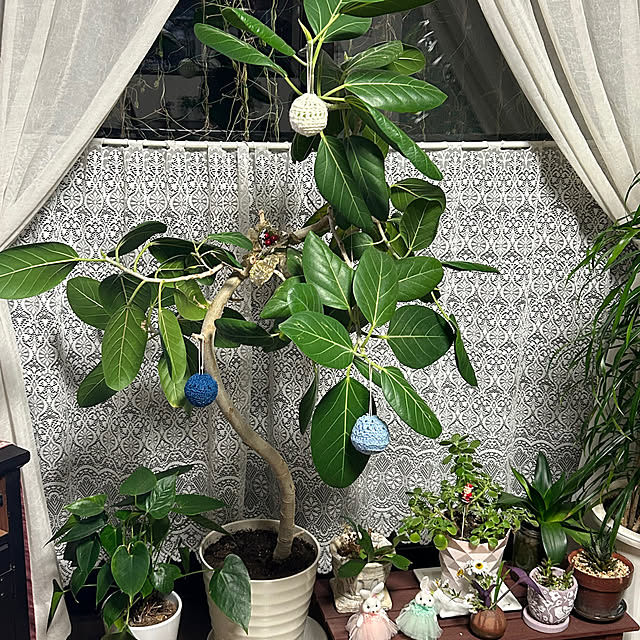 ritsukoさんの部屋