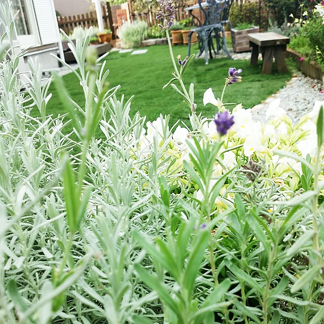 VIORAさんの実例写真