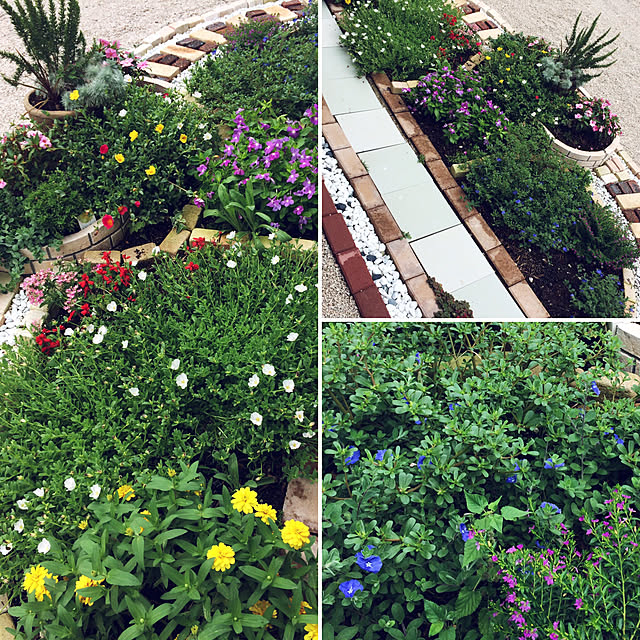 kimuraruさんの実例写真