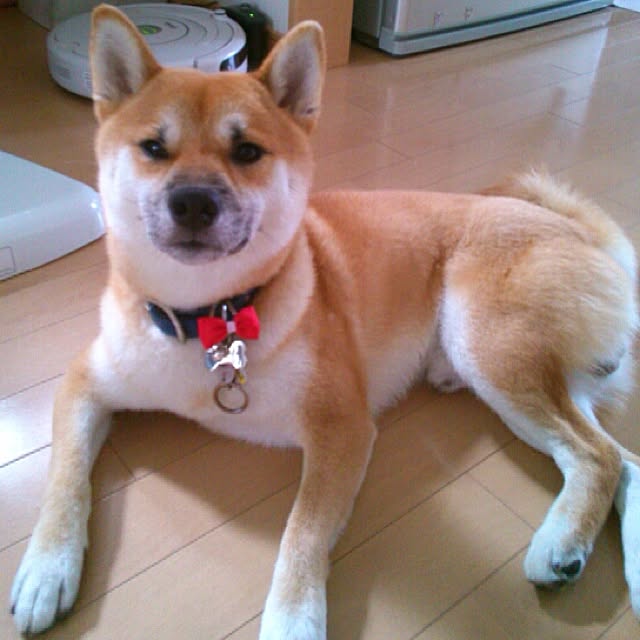kotaさんの実例写真
