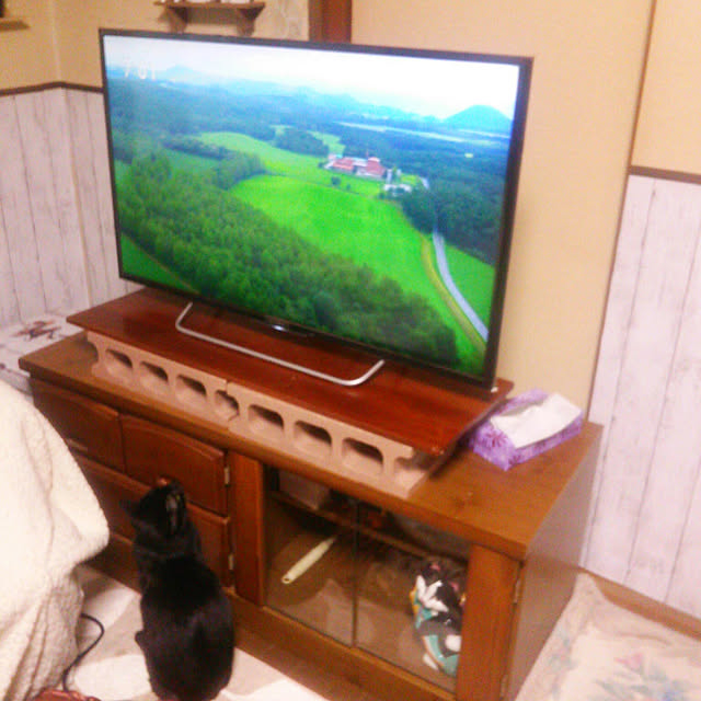 Tomopさんの実例写真