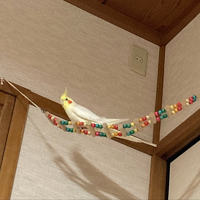 toratanさんの実例写真