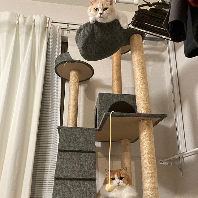 H.Tさんの部屋